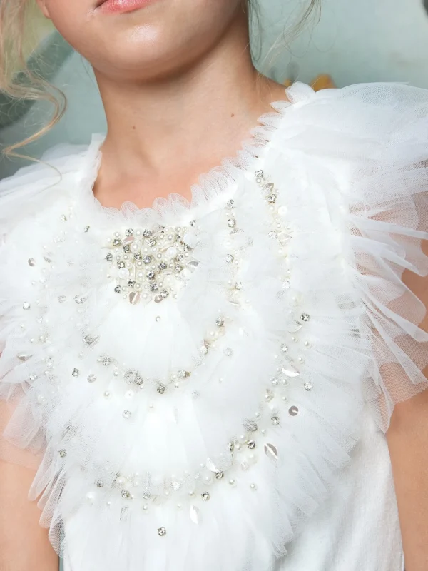 eternal_dreams_tutu_dress_4.webp Eternal Dreams Tutu Dress<Tutu du Monde Flash Sale