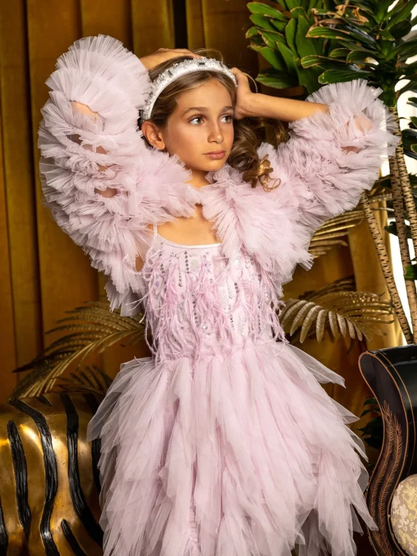 plume_tutu_dress_1.webp Plume Tutu Dress<Tutu du Monde Flash Sale